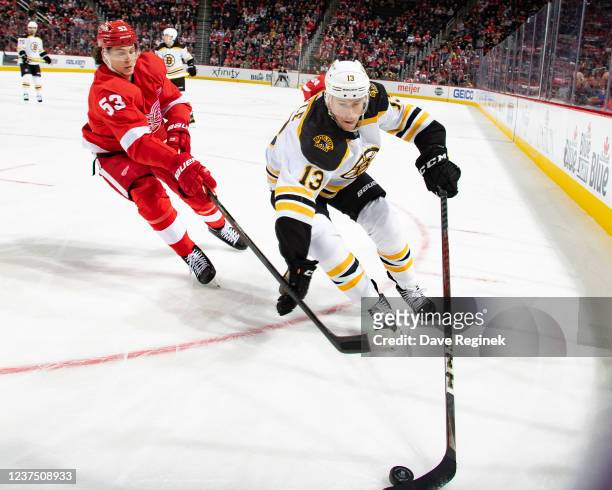 Charlie Coyle of the Boston Bruins protects the puck from Moritz Seider of the Detroit Red Wings during the second period of an NHL game at Little...