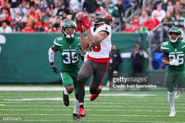 Tampa Bay Buccaneers wide receiver Mike Evans makes a juggling catch during the National Football League game between the New York Jets and the Tampa...