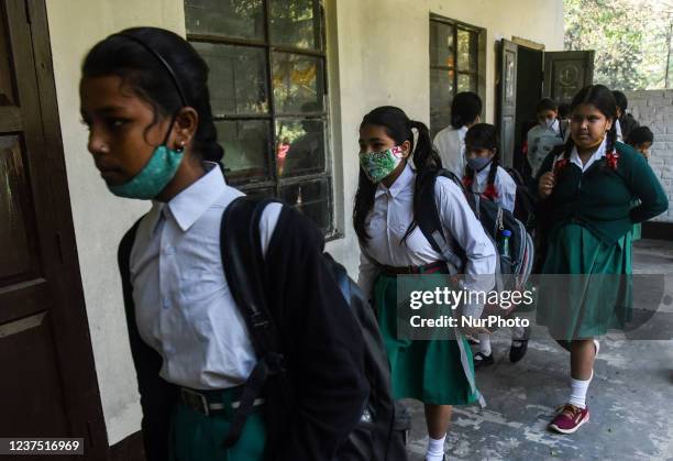 Students In Queue 92 Queue (Hairstyle) Stock Photos, High-Res Pictures, and Images ...