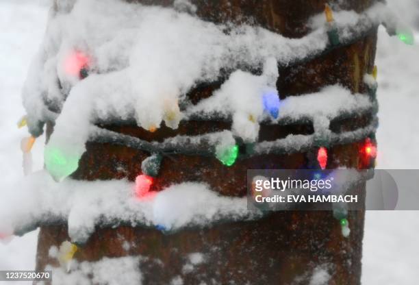 Christmas lights are glowing on a tree at a neighborhood park in Washington, DC on January 3, 2022. - After a bruising holiday week of flight...