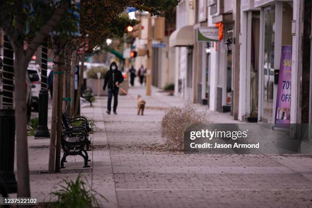 Tumbleweed sits on the sidewalk on Pioneer Boulevard in Little India as the shopping district has been struggled to bring in customers over the last...