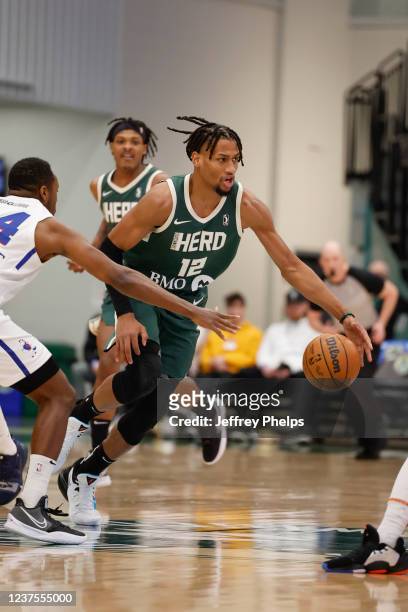 Javin DeLaurier of the Wisconsin Herd dribbles the ball during the game against the Delaware Blue Coats during an NBA G-League game on January 5,...