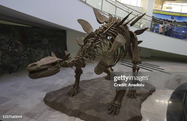 View of Sehit Cuma Dag Natural History Museum under the General Directorate of the Mineral Research and Exploration of Turkiye in Ankara, Turkiye on...