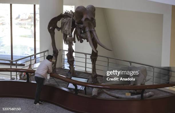 View of Sehit Cuma Dag Natural History Museum under the General Directorate of the Mineral Research & Exploration of Turkiye in Ankara, Turkiye on...