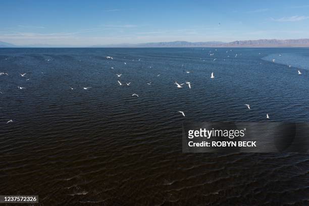 This aerial view shows birds flying over the Salton Sea near Calipatria, California, December 15, 2021. - Hollywood's jetset once crowded the shores...