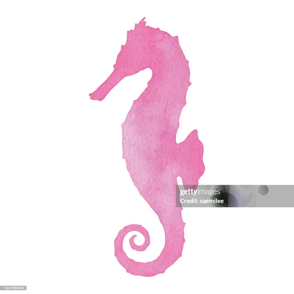 Watercolor Sea Horse