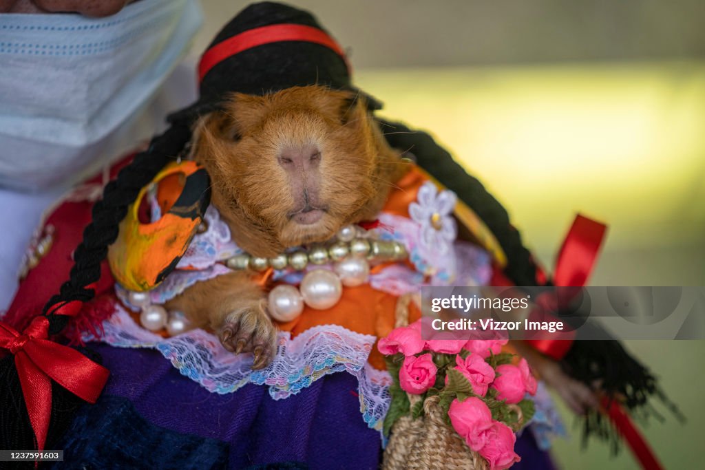Colombians Celebrate Traditional Blacks and Whites' Carnival