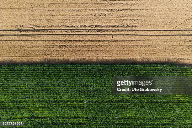 IAerial view of the landscape on July 28, 2021 in Markersdorf, Germany.