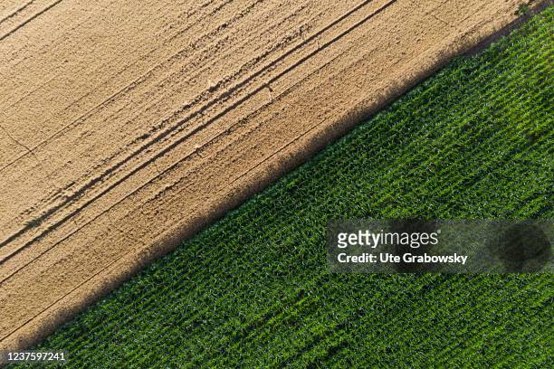 IAerial view of the landscape on July 28, 2021 in Markersdorf, Germany.