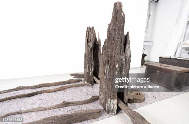 January 2021, Baden-Wuerttemberg, Kleinheppach: Parts of a wooden wine press from the 14th century lie to dry in a room of the Stone Age Museum....
