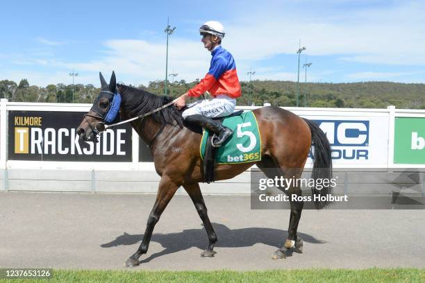 Teodore Nugent returns to the mounting yard on Panama Papers after winning the bet365 Racing Refunds BM58 Handicap at Kilmore Racecourse on January...