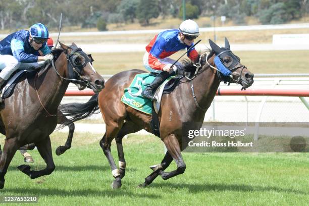 Panama Papers ridden by Teodore Nugent wins the bet365 Racing Refunds BM58 Handicap at Kilmore Racecourse on January 11, 2022 in Kilmore, Australia.