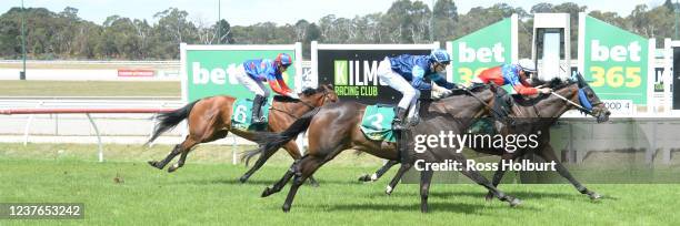 Panama Papers ridden by Teodore Nugent wins the bet365 Racing Refunds BM58 Handicap at Kilmore Racecourse on January 11, 2022 in Kilmore, Australia.