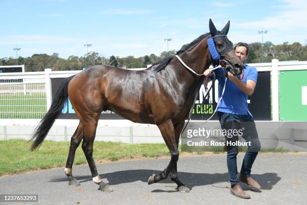 Panama Papers after winning the bet365 Racing Refunds BM58 Handicap at Kilmore Racecourse on January 11, 2022 in Kilmore, Australia.