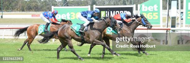 Panama Papers ridden by Teodore Nugent wins the bet365 Racing Refunds BM58 Handicap at Kilmore Racecourse on January 11, 2022 in Kilmore, Australia.