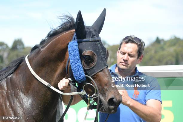 Panama Papers after winning the bet365 Racing Refunds BM58 Handicap at Kilmore Racecourse on January 11, 2022 in Kilmore, Australia.