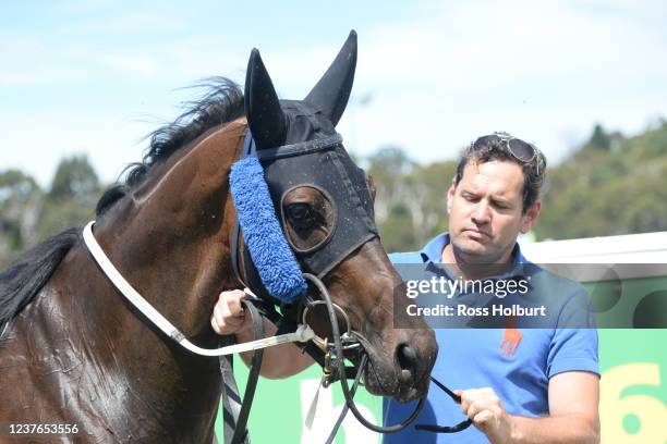 Panama Papers after winning the bet365 Racing Refunds BM58 Handicap at Kilmore Racecourse on January 11, 2022 in Kilmore, Australia.