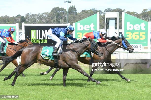 Panama Papers ridden by Teodore Nugent wins the bet365 Racing Refunds BM58 Handicap at Kilmore Racecourse on January 11, 2022 in Kilmore, Australia.