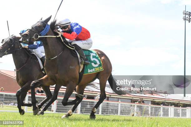 Panama Papers ridden by Teodore Nugent wins the bet365 Racing Refunds BM58 Handicap at Kilmore Racecourse on January 11, 2022 in Kilmore, Australia.