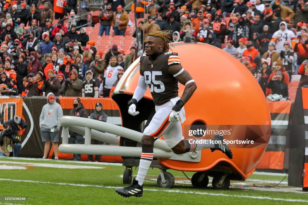NFL: JAN 09 Bengals at Browns