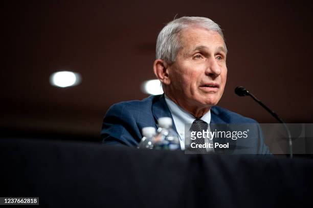 Dr. Anthony Fauci, White House Chief Medical Advisor and Director of the NIAID, testifies at a Senate Health, Education, Labor, and Pensions...