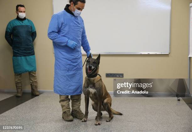 Sniffer dog is being tested at the training center in Bolluca neighbourhood in Arnavutkoy district of Turkiye's Istanbul on January 11, 2022. Sniffer...