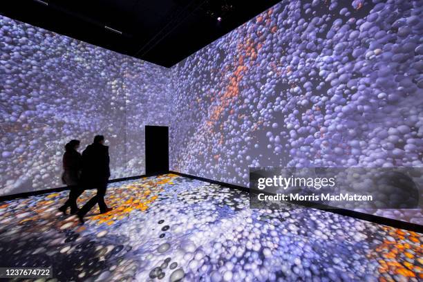 People walk through an illuminated rendition of a Claude Monet painting on the opening day of the "Monet's Garden" exhibition at the Alte Muenze...