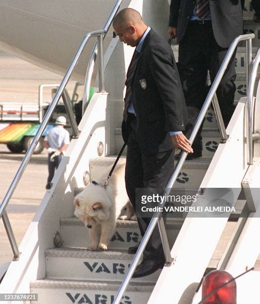 Brazilian soccer superstar Ronaldo and his dog climb down the gangway of a plane that brought them and five teammates from Brasilia to Rio de Janeiro...