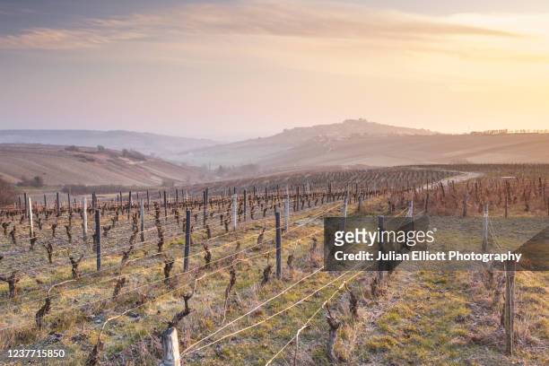 the beautiful vineyards near to sancerre in central france. - loire valley spring stock pictures, royalty-free photos & images
