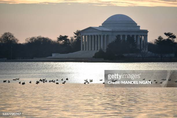 Geese swim in the Tidal Basin in front of the Jefferson Memorial in Washington, DC, on January 14, 2022.