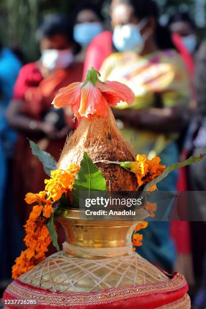 Pot of milk with a coconut covering the mouth and decorated with flowers as an offering to the Gods on Thai Pongal day at the Shri...