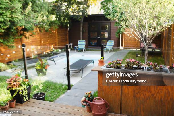 small backyard - back garden stock pictures, royalty-free photos & images