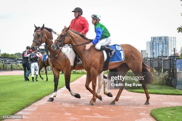 Matthew Cartwright returns to the mounting yard on Decent Raine after winning the Furphy Refreshing Ale Trophy, at Flemington Racecourse on January...