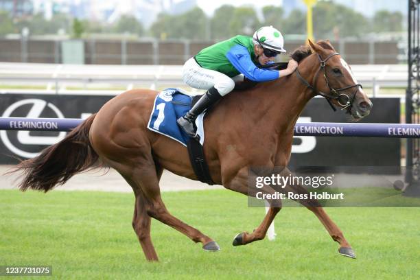 Decent Raine ridden by Matthew Cartwright wins the Furphy Refreshing Ale Trophy at Flemington Racecourse on January 15, 2022 in Flemington, Australia.