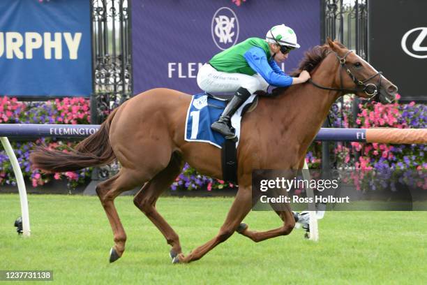 Decent Raine ridden by Matthew Cartwright wins the Furphy Refreshing Ale Trophy at Flemington Racecourse on January 15, 2022 in Flemington, Australia.