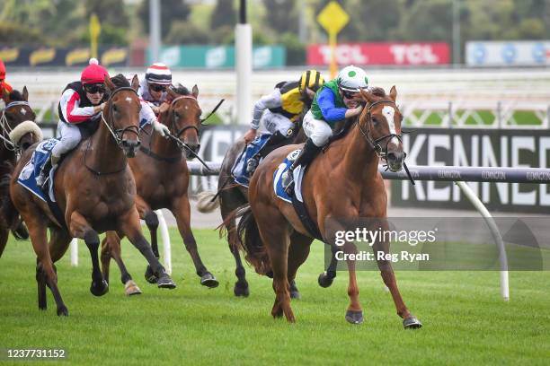 Decent Raine ridden by Matthew Cartwright wins the Furphy Refreshing Ale Trophy at Flemington Racecourse on January 15, 2022 in Flemington, Australia.