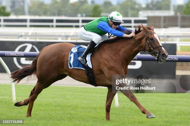 Decent Raine ridden by Matthew Cartwright wins the Furphy Refreshing Ale Trophy at Flemington Racecourse on January 15, 2022 in Flemington, Australia.