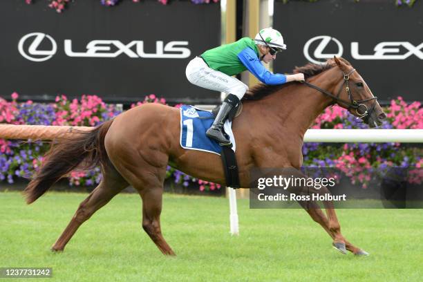 Decent Raine ridden by Matthew Cartwright wins the Furphy Refreshing Ale Trophy at Flemington Racecourse on January 15, 2022 in Flemington, Australia.