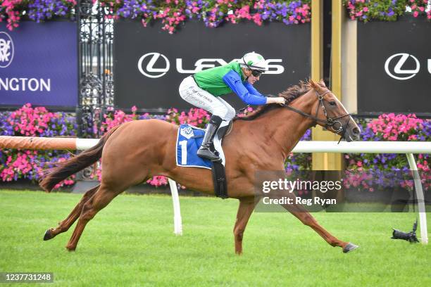 Decent Raine ridden by Matthew Cartwright wins the Furphy Refreshing Ale Trophy at Flemington Racecourse on January 15, 2022 in Flemington, Australia.