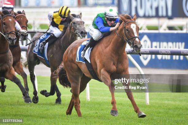 Decent Raine ridden by Matthew Cartwright wins the Furphy Refreshing Ale Trophy at Flemington Racecourse on January 15, 2022 in Flemington, Australia.