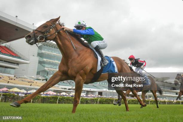 Decent Raine ridden by Matthew Cartwright wins the Furphy Refreshing Ale Trophy at Flemington Racecourse on January 15, 2022 in Flemington, Australia.