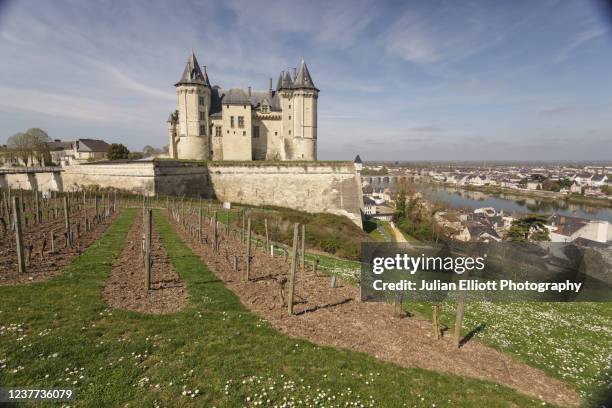 chateau de saumur in saumur, france. - château de saumur stock pictures, royalty-free photos & images