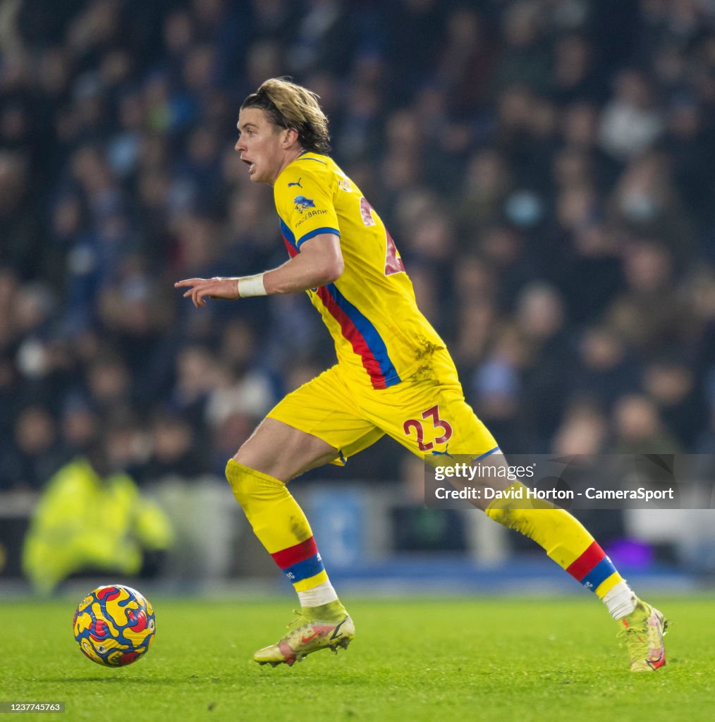 Brighton & Hove Albion v Crystal Palace - Premier League