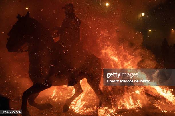 Man rides a horse through a bonfire during the traditional ritual in honor of San Antonio Abad , patron saint of domestic animals. This tradition...