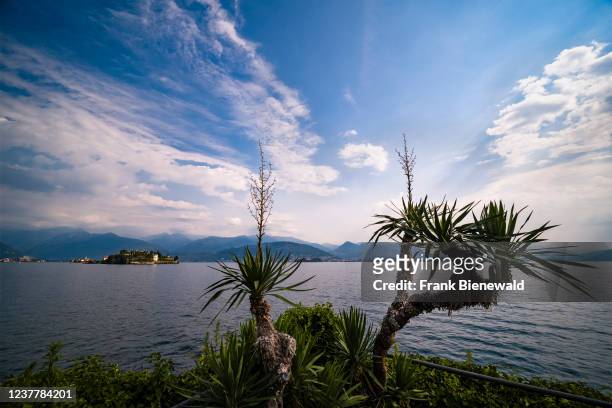 View to the island Isola Bella over Lake Maggiore, palm trees in the foreground, surrounding mountains in the distance.