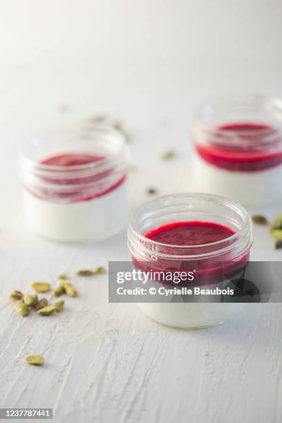 raspberry panna cotta and pistachios - panna cotta photos et images de collection