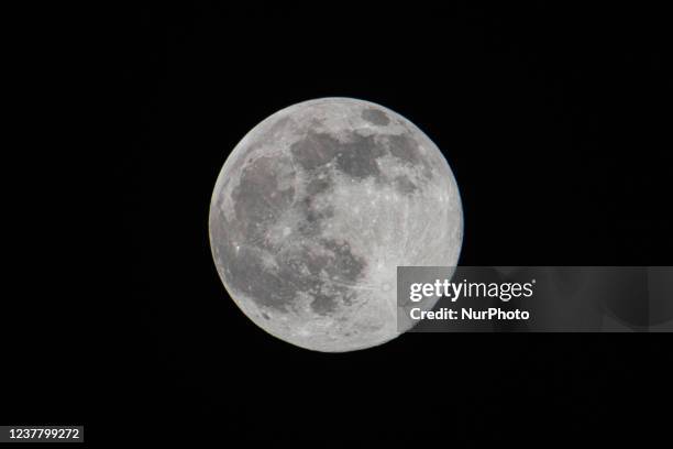 Full Wolf Moon in the Netherlands lights up the January clear winter sky. The first full moon of 2022, the Wolf Moon as rises and lightens the Dutch...