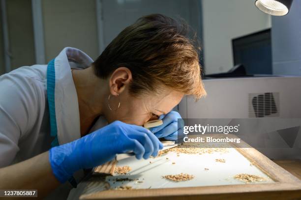 Lab Grain Miles Laboratories Photos and Premium High Res Pictures - Getty Images