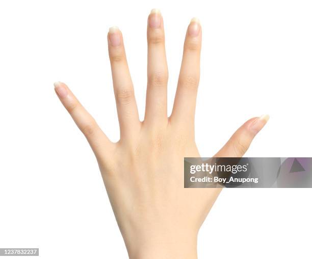 shot of young woman hand isolated on white background. - left handed stock pictures, royalty-free photos & images