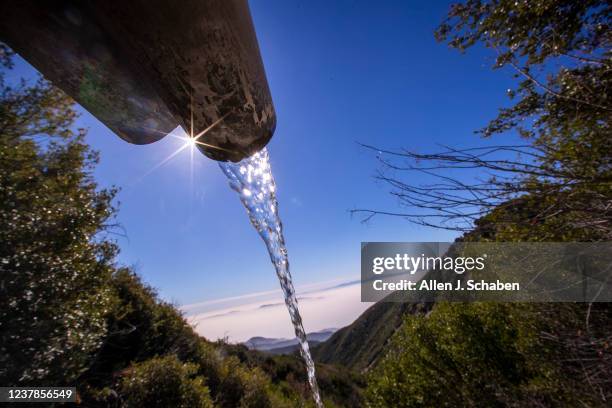 Rimforest, CA Water pours out of a pipe beside one of the sites in the San Bernardino Mountains where the company BlueTriton Brands collects water...